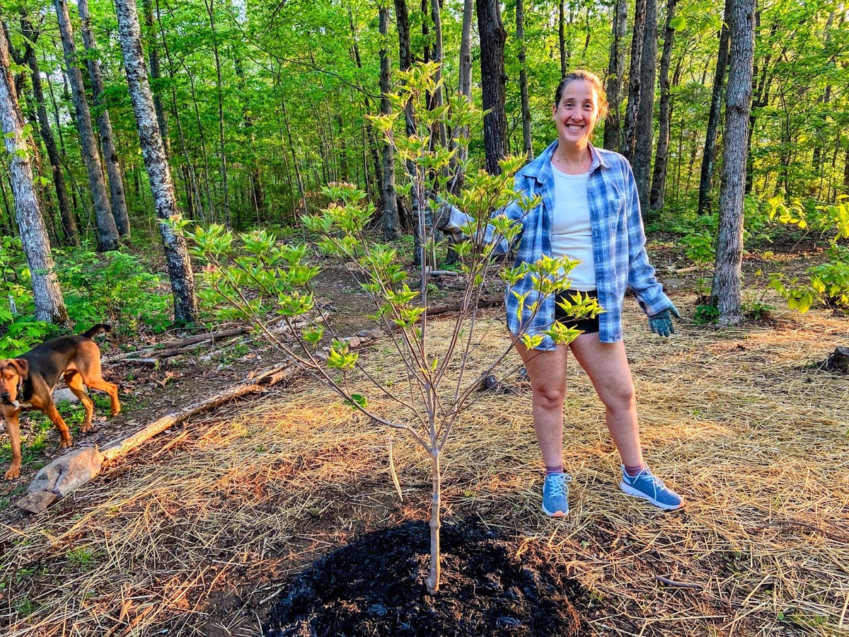 A Personal Story of This Year’s Arbor Day