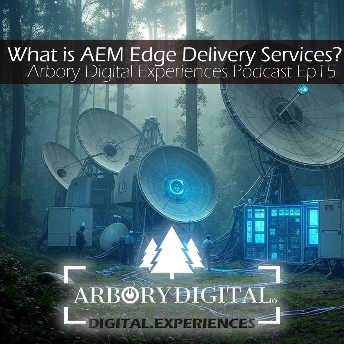 什么是AEM Edge Delivery Services？它是SMB 的可行Wordpress 替代品吗？